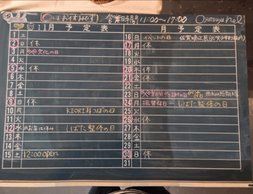 11月のお休みについて